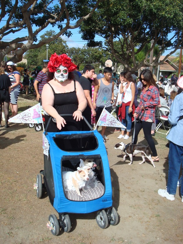 Howlloween Pet Parade 2014 020