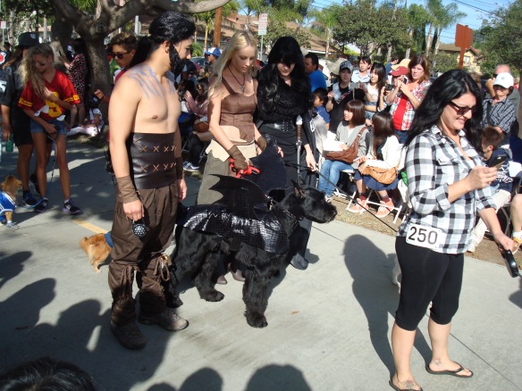 Howlloween Pet Parade 2014 084